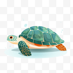 可爱卡通乌龟图片_手绘动物扁平素材乌龟(4)