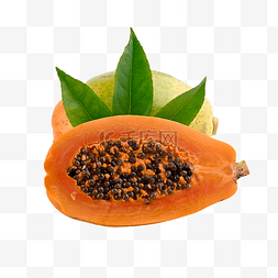 木瓜植物图片_木瓜水果热带健康