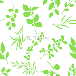嫩枝图片_嫩枝与绿叶的无缝图案装饰性天然