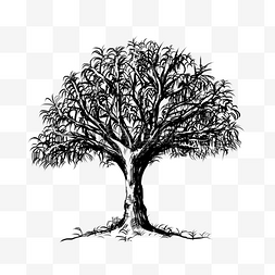 黑白铅笔素描树木