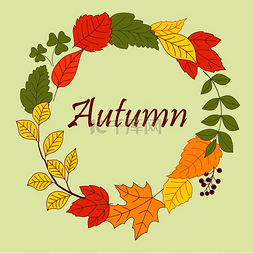 五颜六色的秋天叶子和树枝、三叶