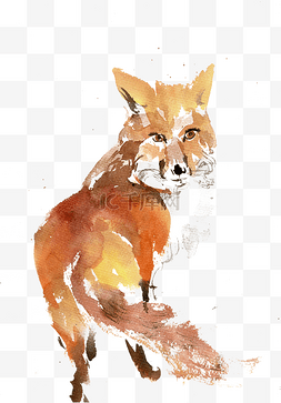 棕色的狐狸图片图片_回头的狐狸水墨