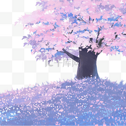 风景紫色图片_梦幻樱花风景樱花树