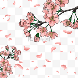 春季光效粉色樱花边框花瓣飘落