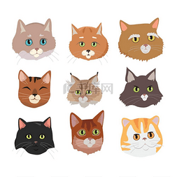 猫的脸矢量平面设计插画集。