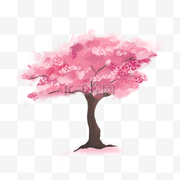 粉色水彩樱花树花卉
