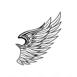 纹身黑色图片_天使翅膀孤立的鸟类羽毛矢量猎鹰