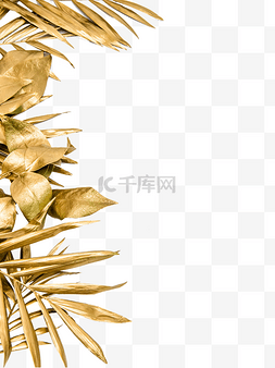 金色植物叶子图片_金色树叶叶子