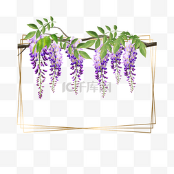 水彩花卉金色图片_紫色水彩紫藤花卉金色边框