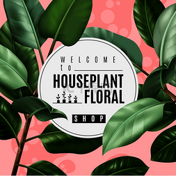 白绿色海报图片_花卉商店海报与逼真的室内植物榕