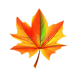 橙色和绿色的叶子秋天落下的物体