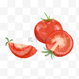 西红柿切开水彩蔬菜水果红色