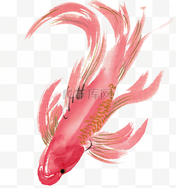 海底的鱼类图片_红色的鲤鱼水墨