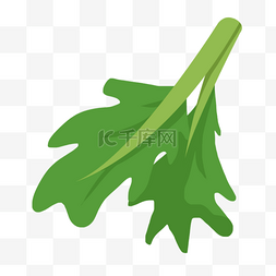 卡通香菜香菜图片_香菜蔬菜叶子卡通图片创意