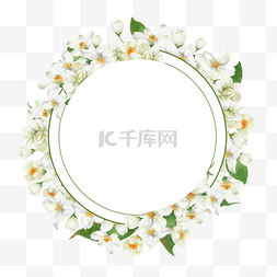 茉莉花边框圆形几何水彩花卉