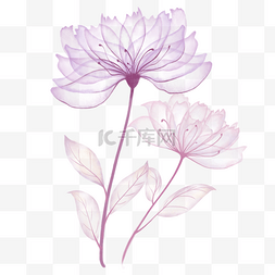 粉紫色透明水彩花卉