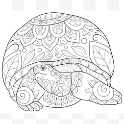乌龟可爱卡通图片_一只可爱的乌龟，有装饰图案，用