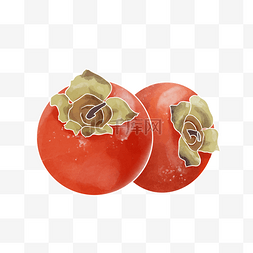 水彩秋季水果柿子