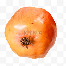 果粒橙logo图片_酸甜水果石榴