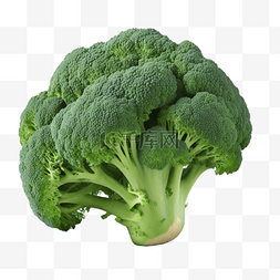 蔬菜蓝蔬菜图片_生鲜食材食物蔬菜西蓝花花椰菜