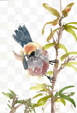 树枝上的小鸟水墨