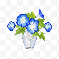 水彩花卉植物牵牛花花瓶