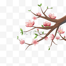 春季桃花树枝