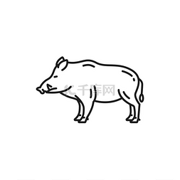 矢量非洲草原图片_野猪或猪德国野猪哺乳动物隔离轮