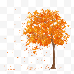 秋季树叶插画图片_秋天金色叶子树木插图