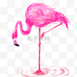 水彩画粉红色的火烈鸟单腿站姿鸟