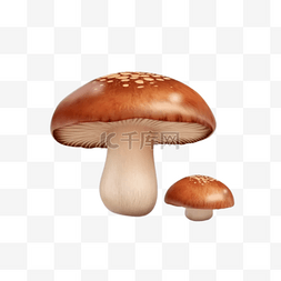 卡通手绘菌菇香菇