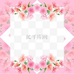 粉色樱桃树图片_正方形边框花朵木槿花