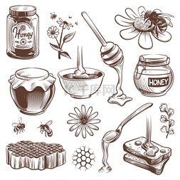 蜜蜂和蜂窝图片_手绘蜂蜜养蜂草图天然有机甜食蜂