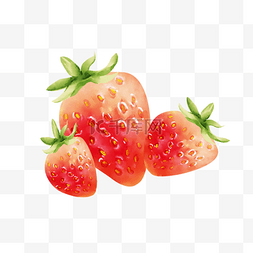 精致哑光图标图片_水彩夏季水果新鲜的草莓