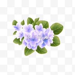 浅紫色紫罗兰花卉剪贴画