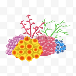 珊瑚礁多色植物插画