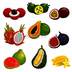 荔枝火龙果图片_热带和异国情调的水果孤立的图标