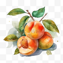 水果展板设计图片_卡通手绘夏季水果桃子