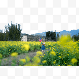 黄色花海春天油菜花女孩风车田野