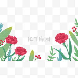 花朵植物康乃馨