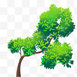 精致植物树木