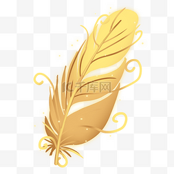 金色羽毛装饰