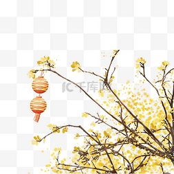 冬季黄色腊梅灯笼