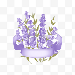 薰衣草紫色花卉图片_薰衣草花束边框紫色
