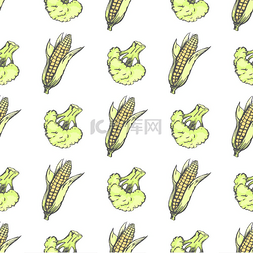 玉米棒矢量图片_玉米棒和西兰花隔离在白色装饰包