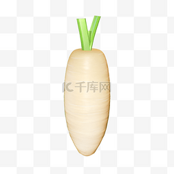 3DC4D立体蔬菜白萝卜