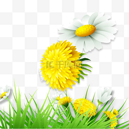 黄色的小菊花图片_草丛中的小雏菊