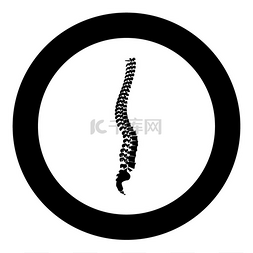 圆形中的脊椎图标为黑色圆形矢量