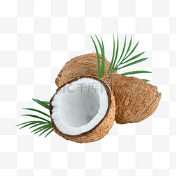 椰子椰汁美味热带