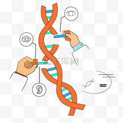 生物技术图片_基因编辑技术研究